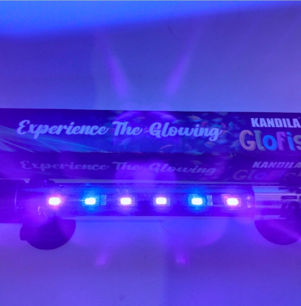 KANDILA GLOFISH GLO 1000 LAMPU LED CELUP AQUARIUM AQUASCAPE
