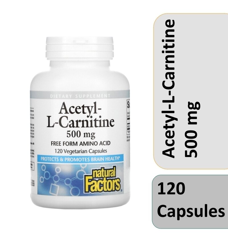 Natural Factors Acetyl L Carnitine L-Carnitine Acetyl-L-Carnitine Asetil-L-Karnitin  500mg 500 mg 120 kapsul capsules tablets 60 150 biosint jarrow formulas  doctor's best doctors puritan's puritans nutrilabs 90 pipingrock HCL 200  piping rock