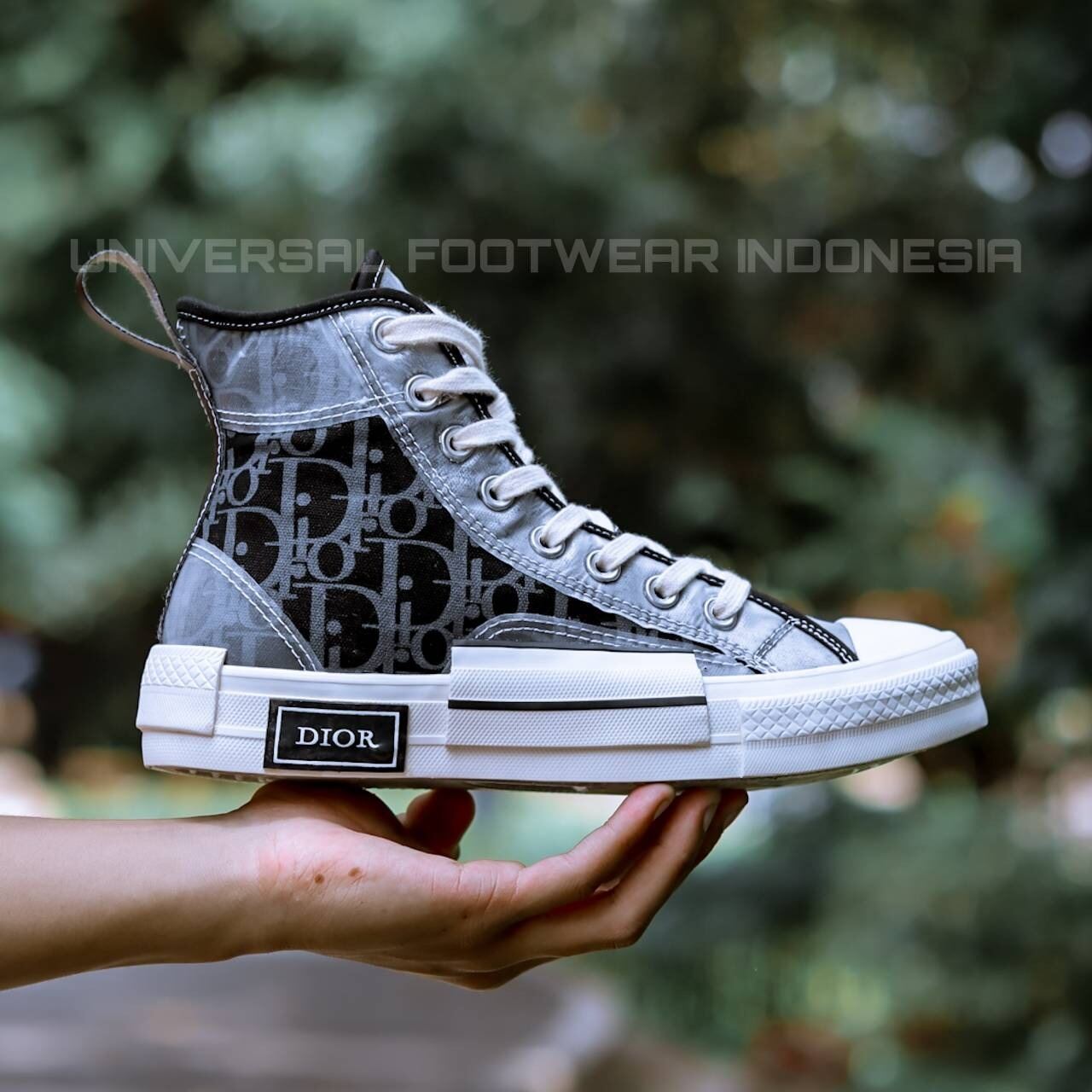 2008 clear dior converse