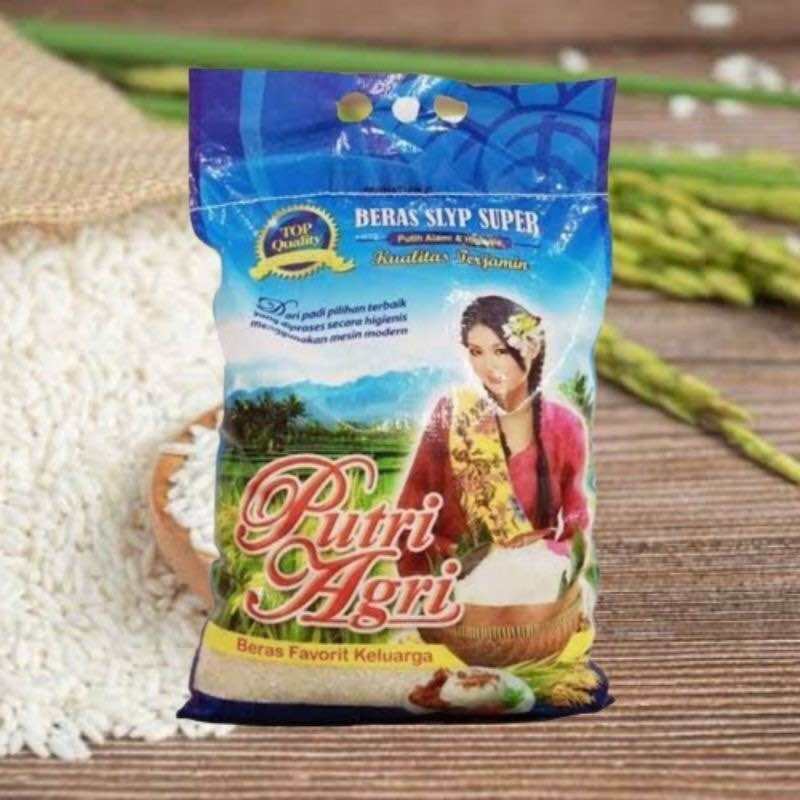 Beras Putri Agri 10kg Premium Lazada Indonesia