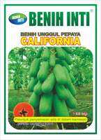 Benih buah pepaya CALIFORNIA 1gr
