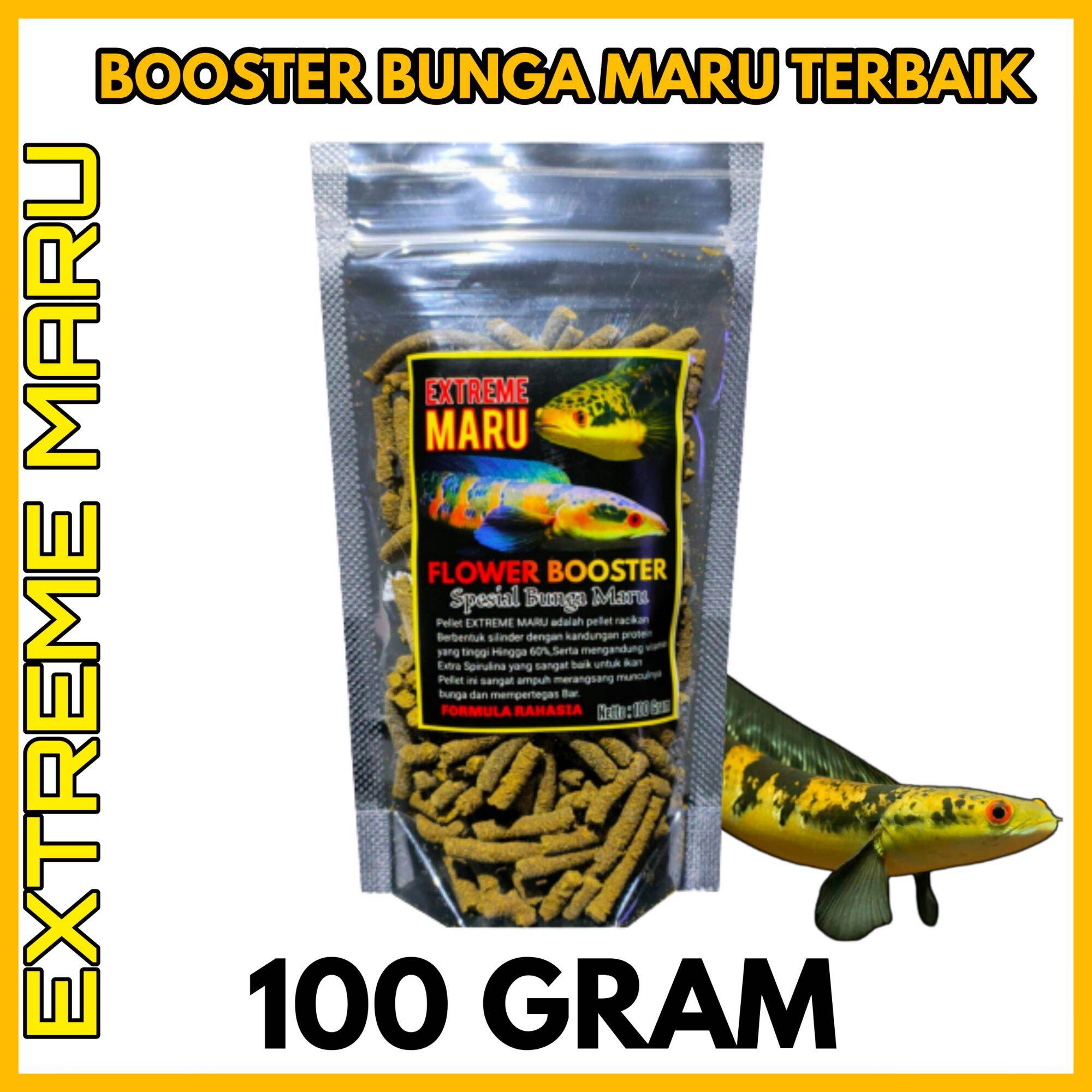 Pelet Extreme Maru 100 Gram Pelet Booster Bunga Channa | Lazada Indonesia