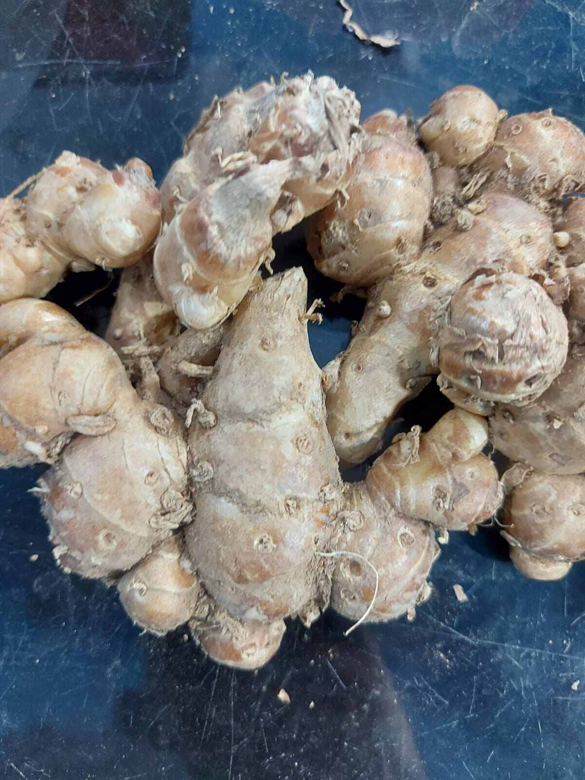 Kencur Pilihan Fresh 1kg Lazada Indonesia 7307