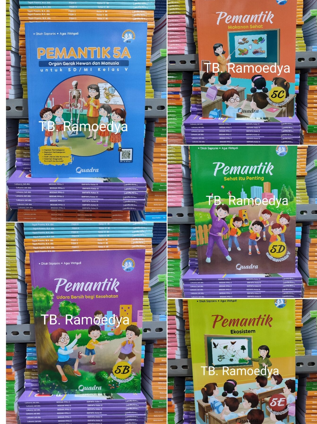 Buku Paket Pemantik Jilid 5A Sampai 5E Untuk SD/MI Kelas V Quadra ...