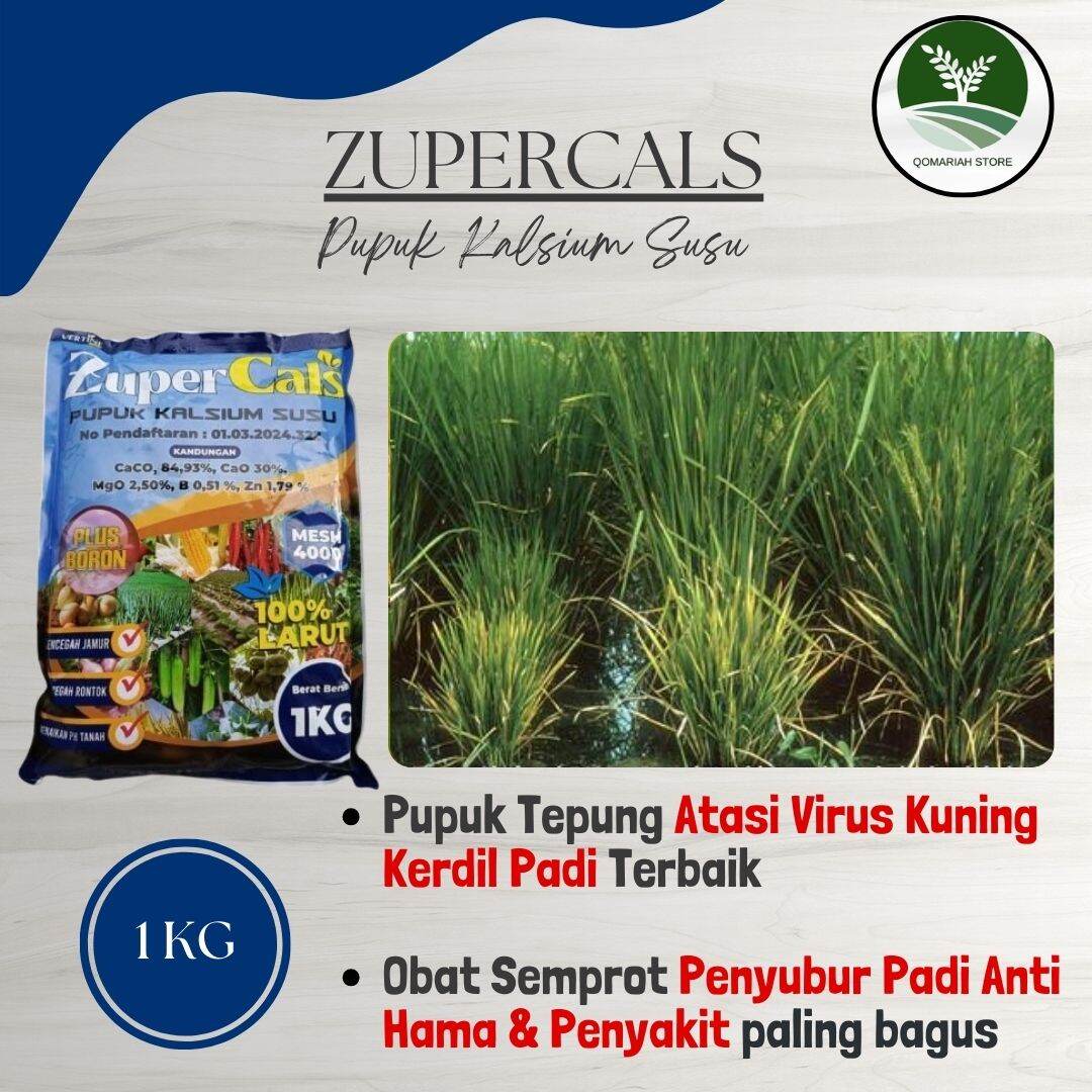 Obat Padi Kuning & Kerdil Paling Ampuh Daun Hijau Lagi, Tumbuh Subur ...
