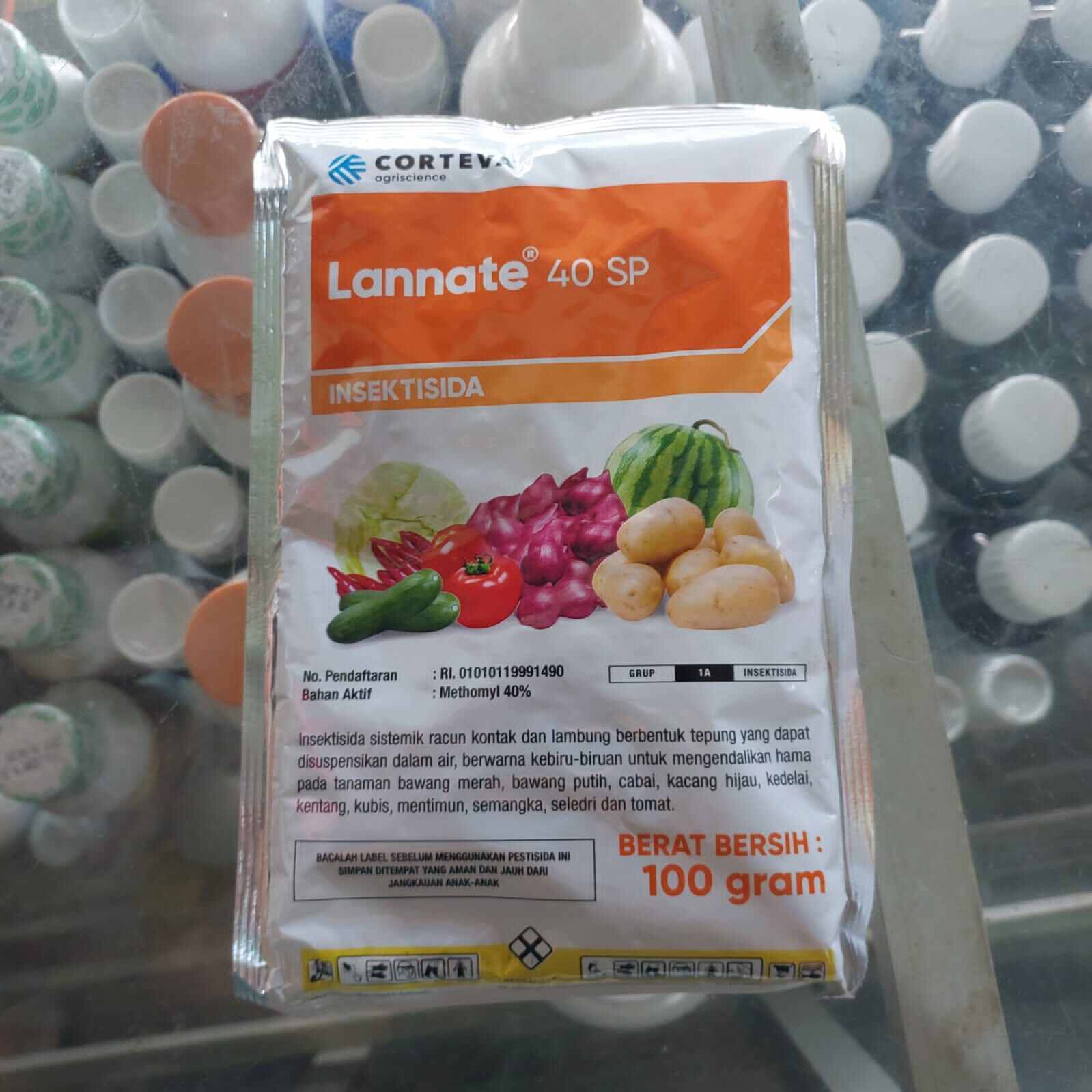 Lanet katta etuk eshaklar Lanet katta etuk eshaklar