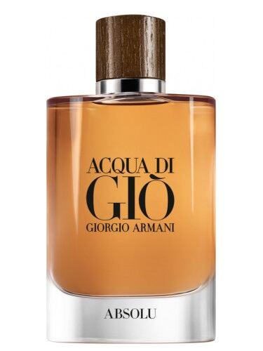 giorgio armani absolu instinct