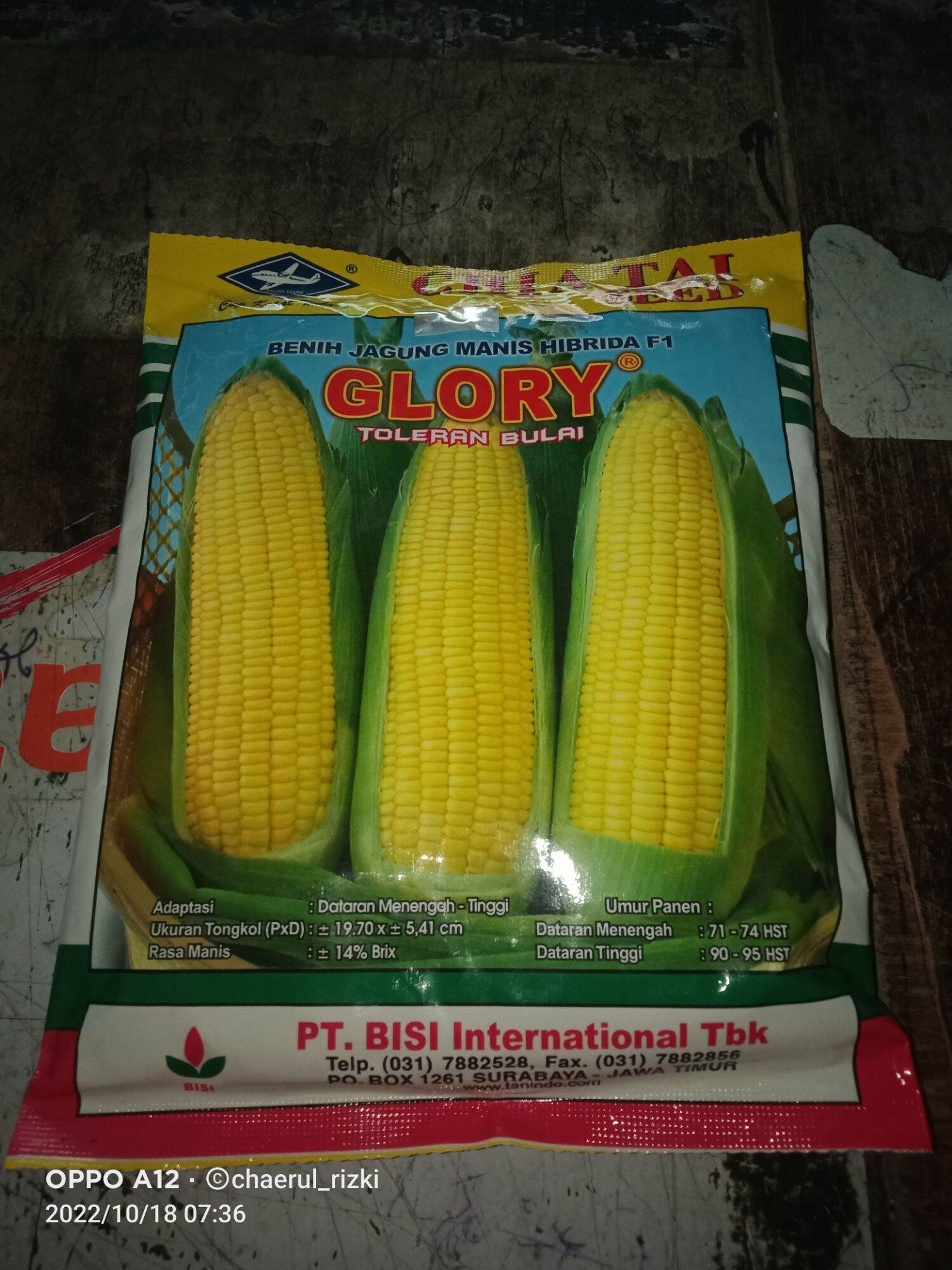 Benih Jagung Manis Hibrida Glory Gr Lazada Indonesia