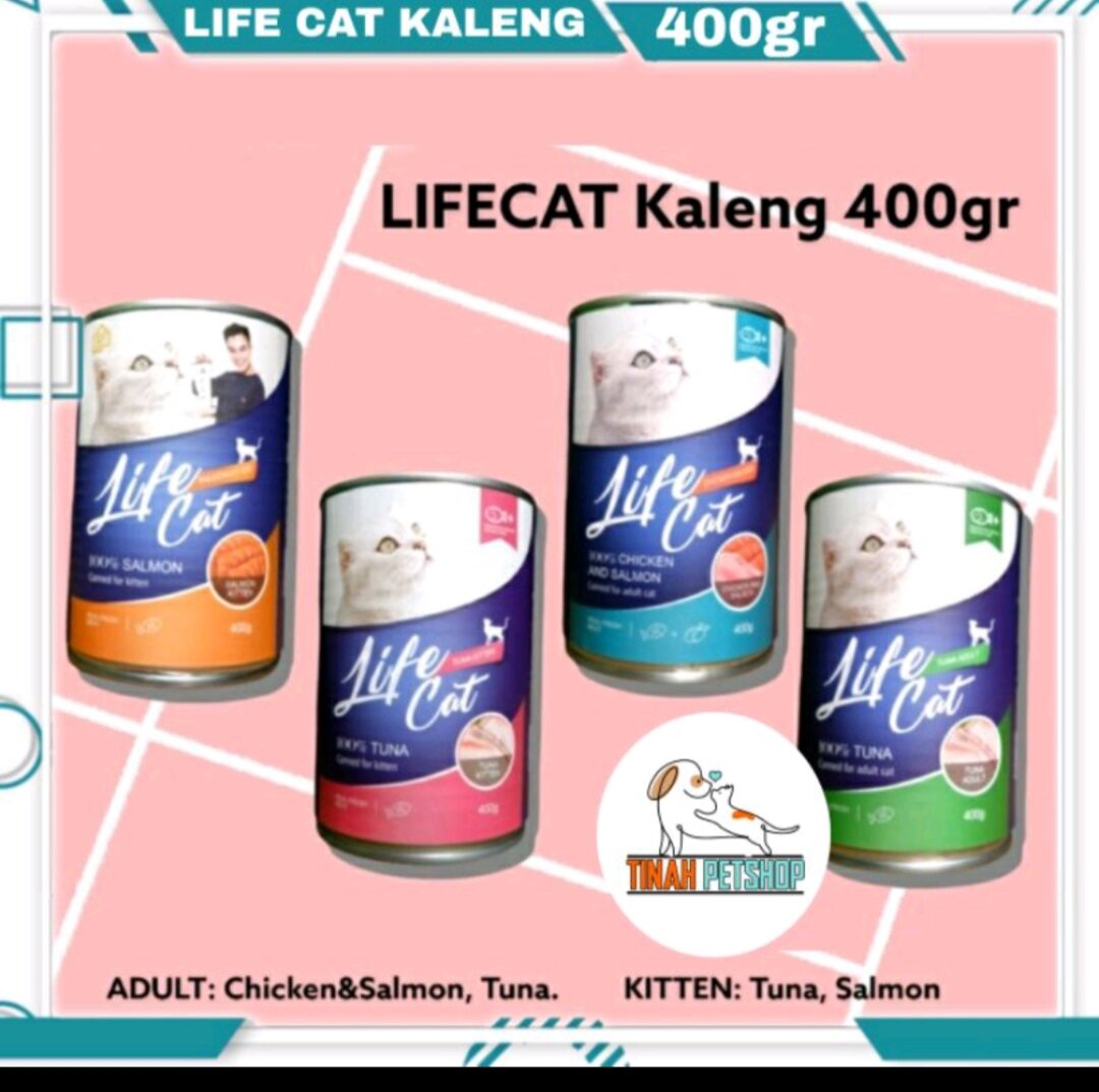 life cat kaleng adult