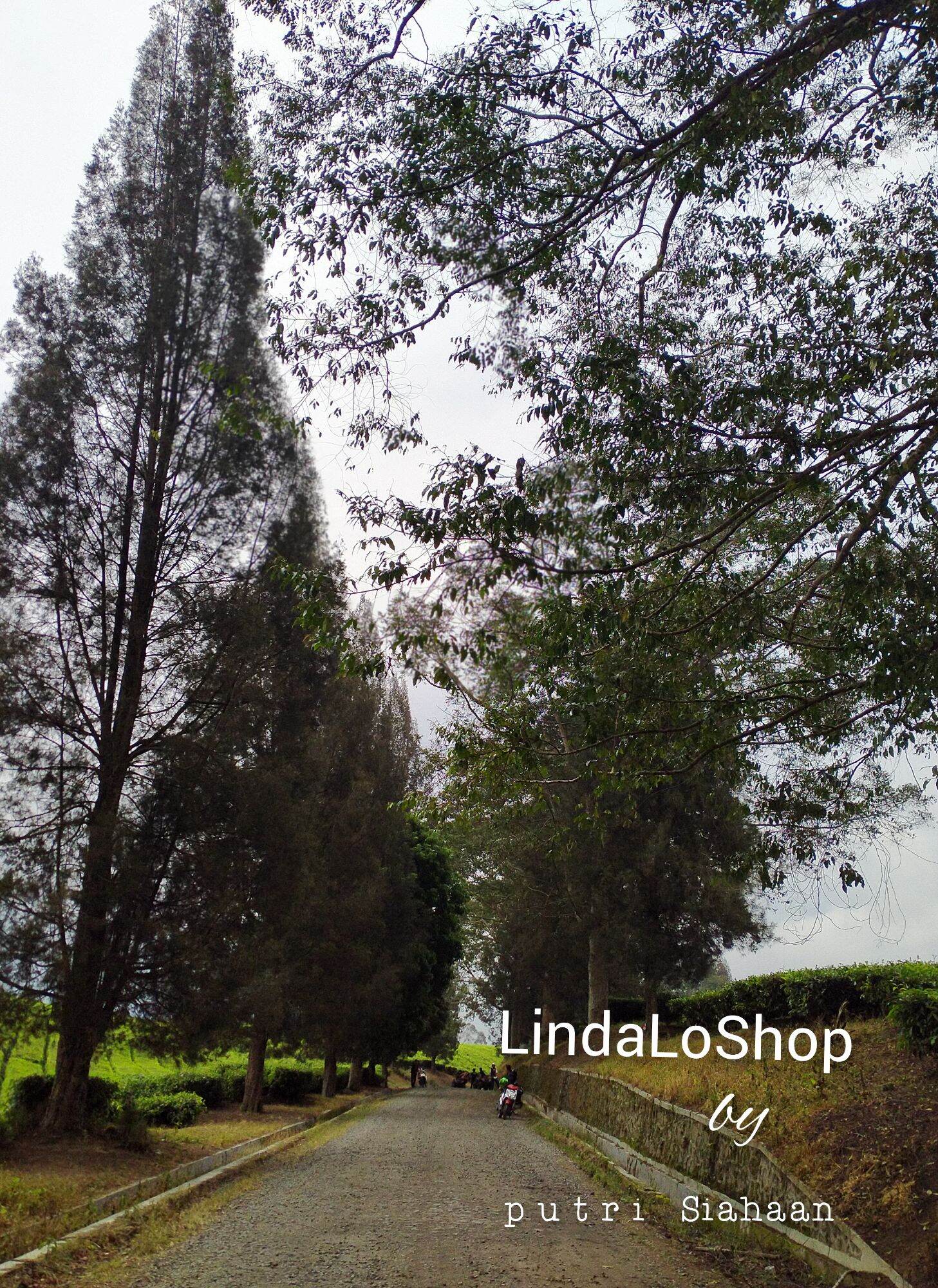 ittir-andalimanku-toko-resmi-di-indonesia-online-shop-11-2024