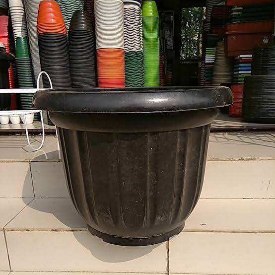 Pot Warna Hitam Jumbo Eboni Ukuran 60 Cm Cocok Untuk Pohon Buah / Pot Tanaman Gloria Besar Ukuran 60 C…