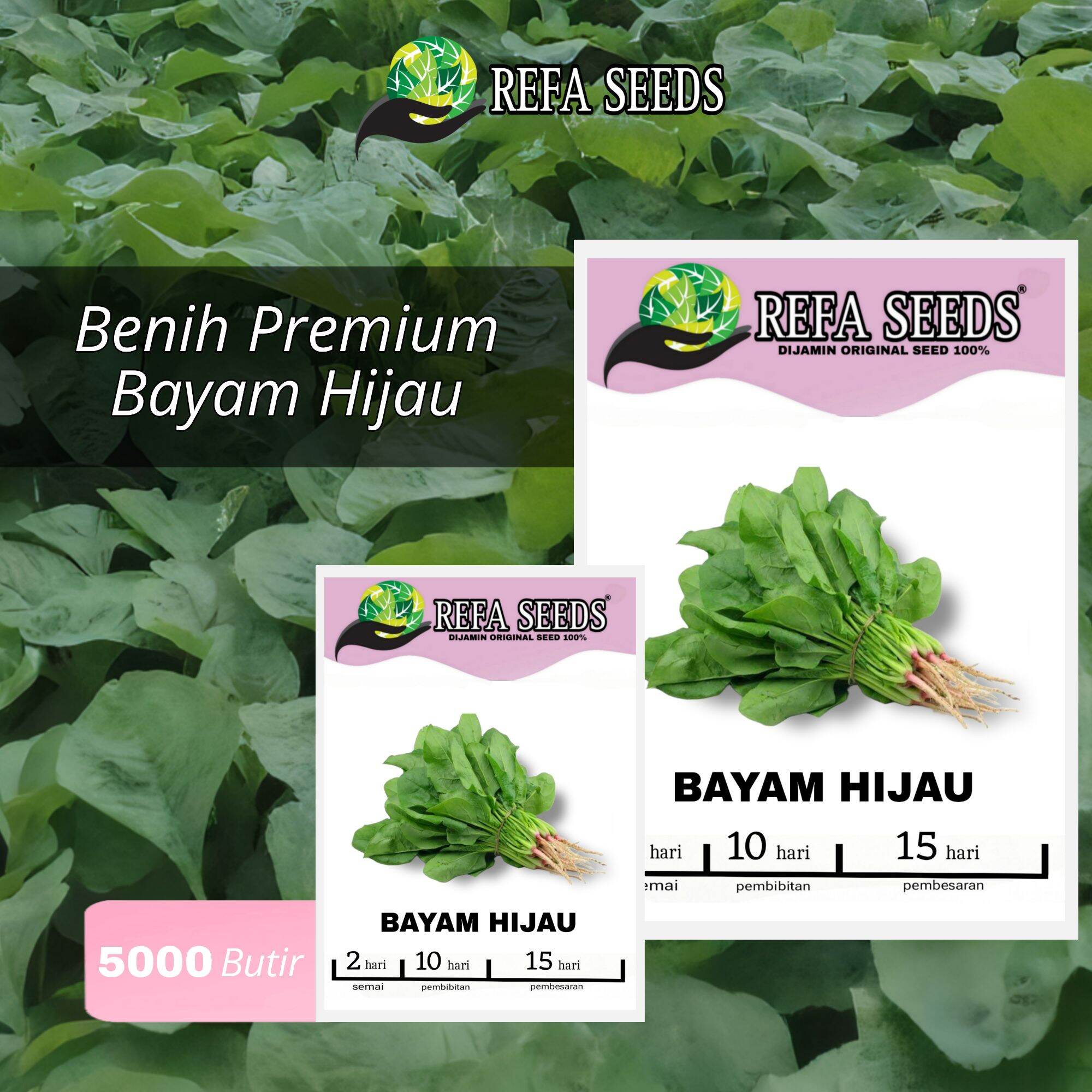 1 Pack Bibit Benih Sayur Bayam Hijau Kemasan Infarm / Benih Sayuran ...