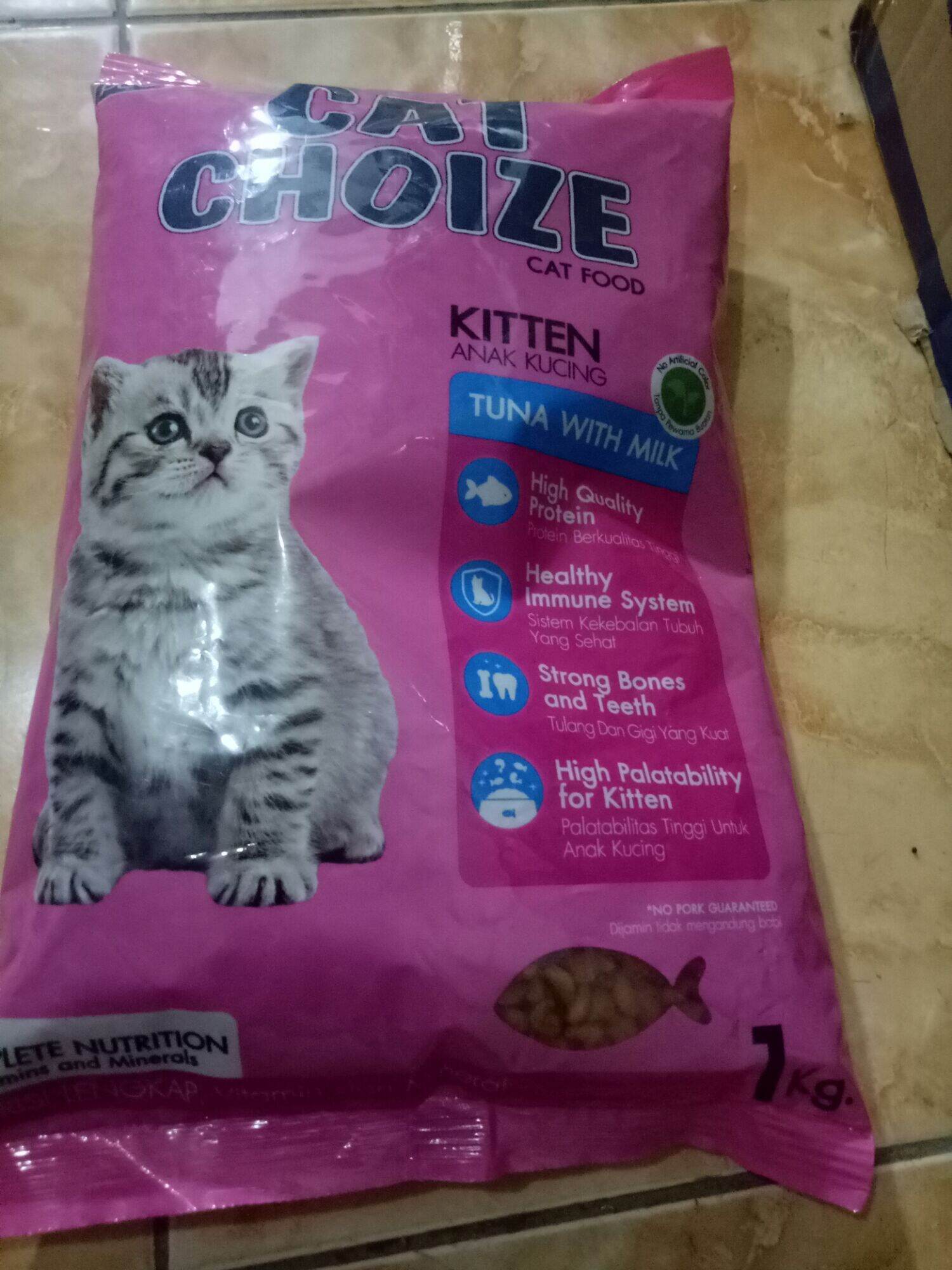 Makanan kucing umur 2 bulan