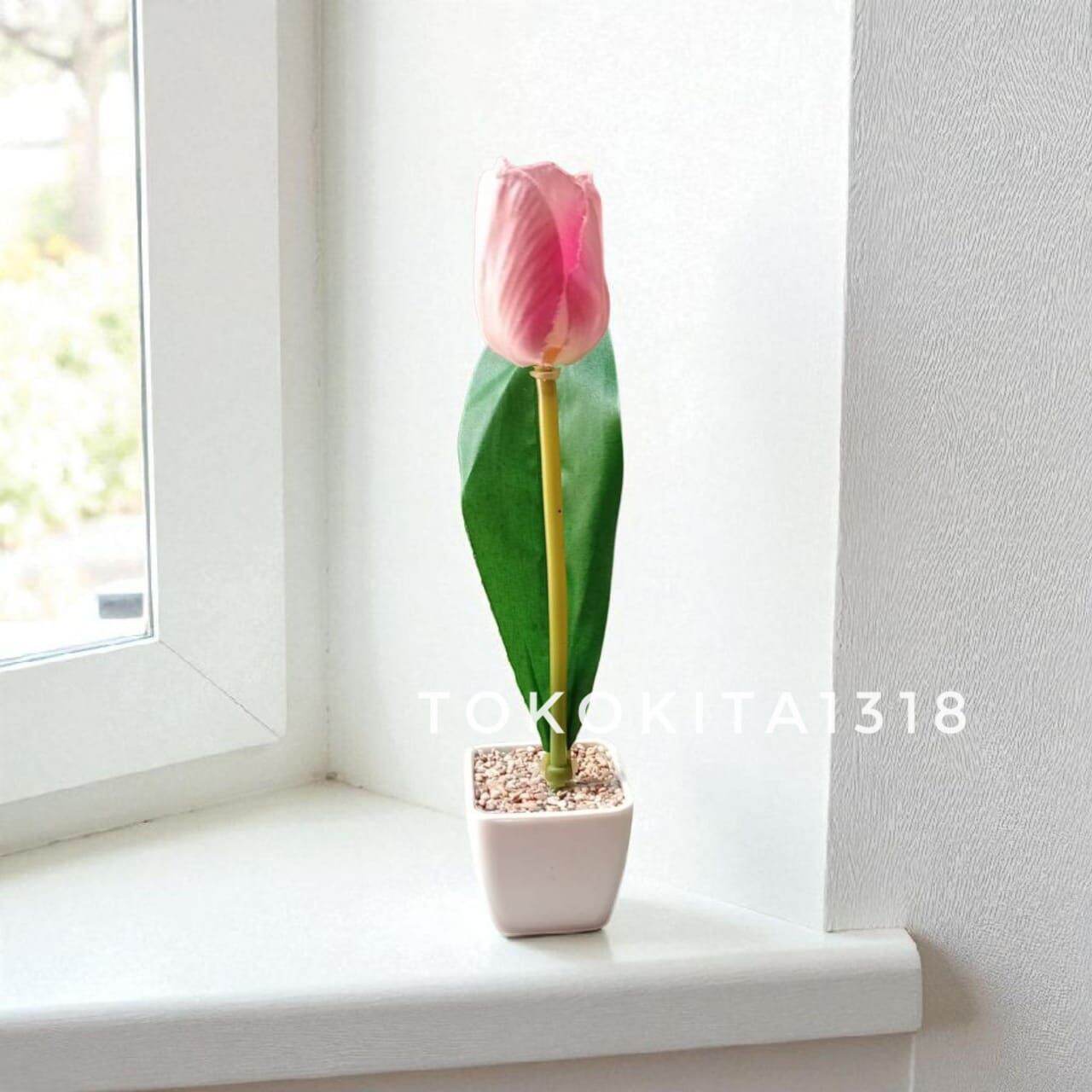 SET TULIP KUNCUP1 DENGAN POT MINI