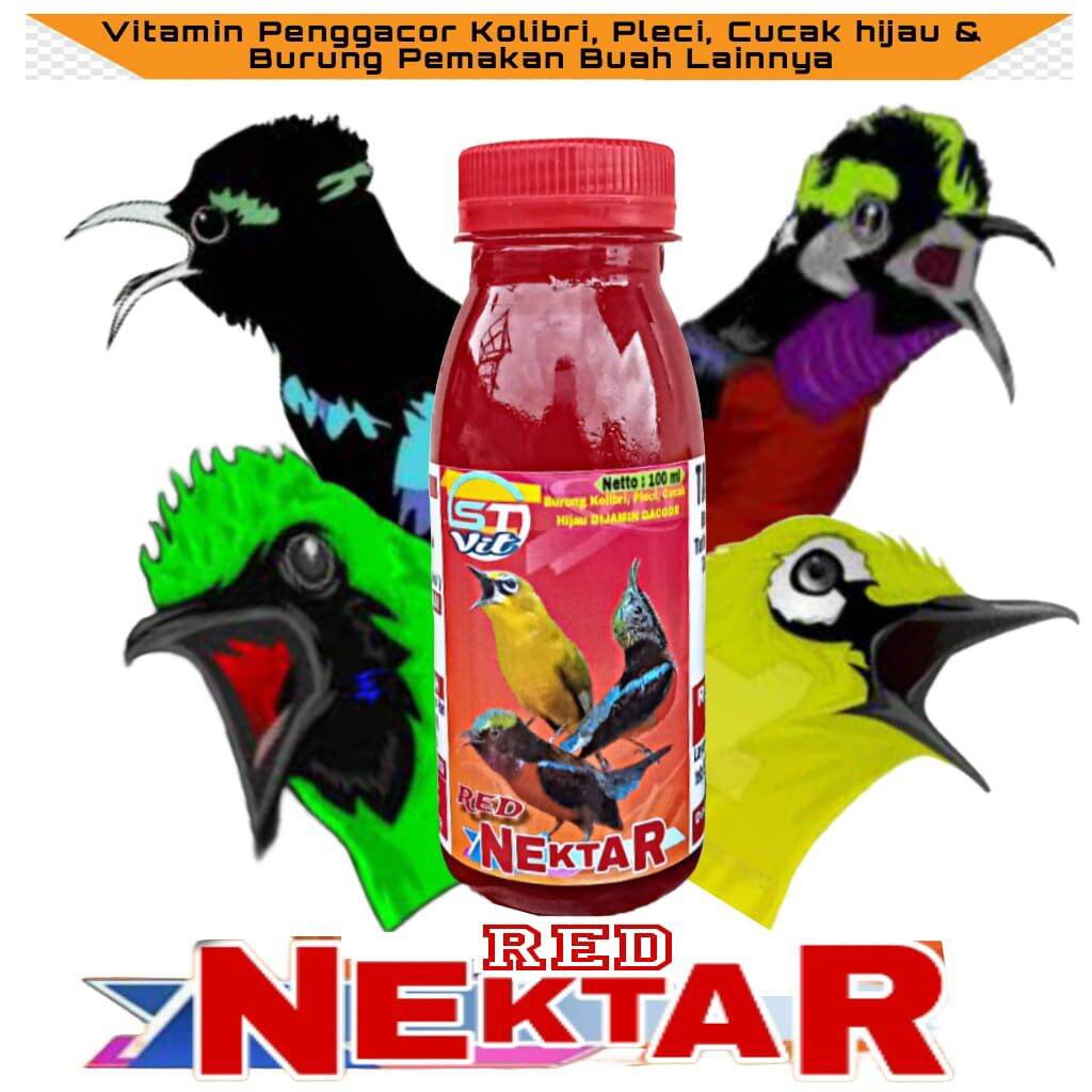 Taytli, it uslubidagi ayolning fotosurati