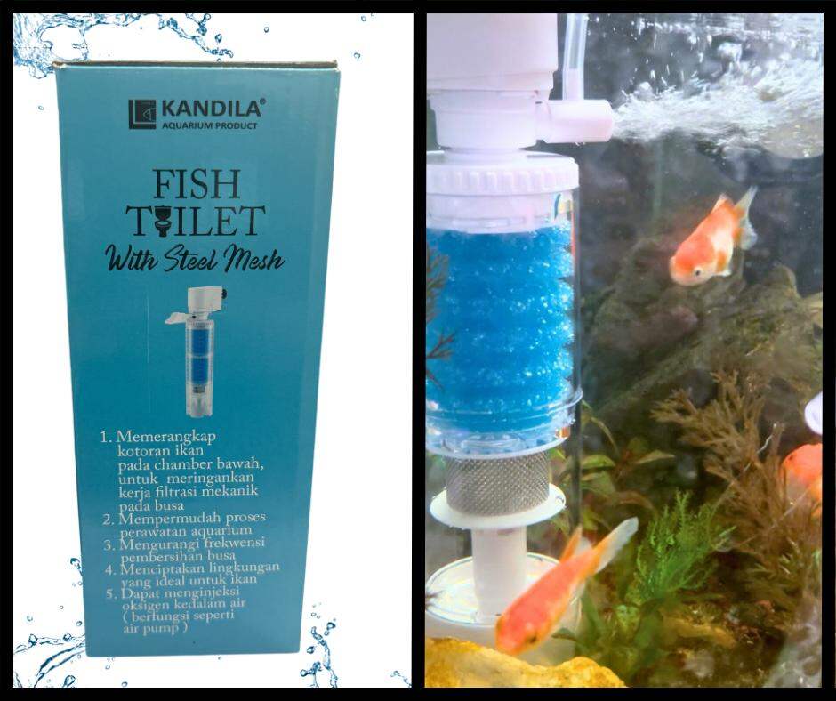 KANDILA FISH TOILET TW 2000 FILTER AQUARIUM WITH STEEL MESH