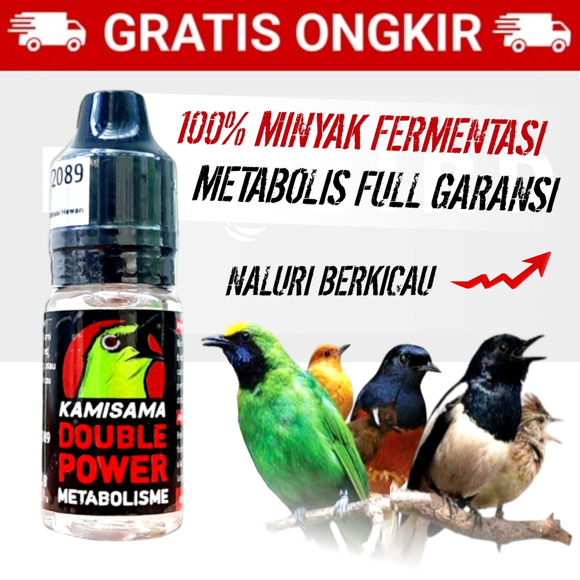 Yapon gozal qizlar porno onlayn