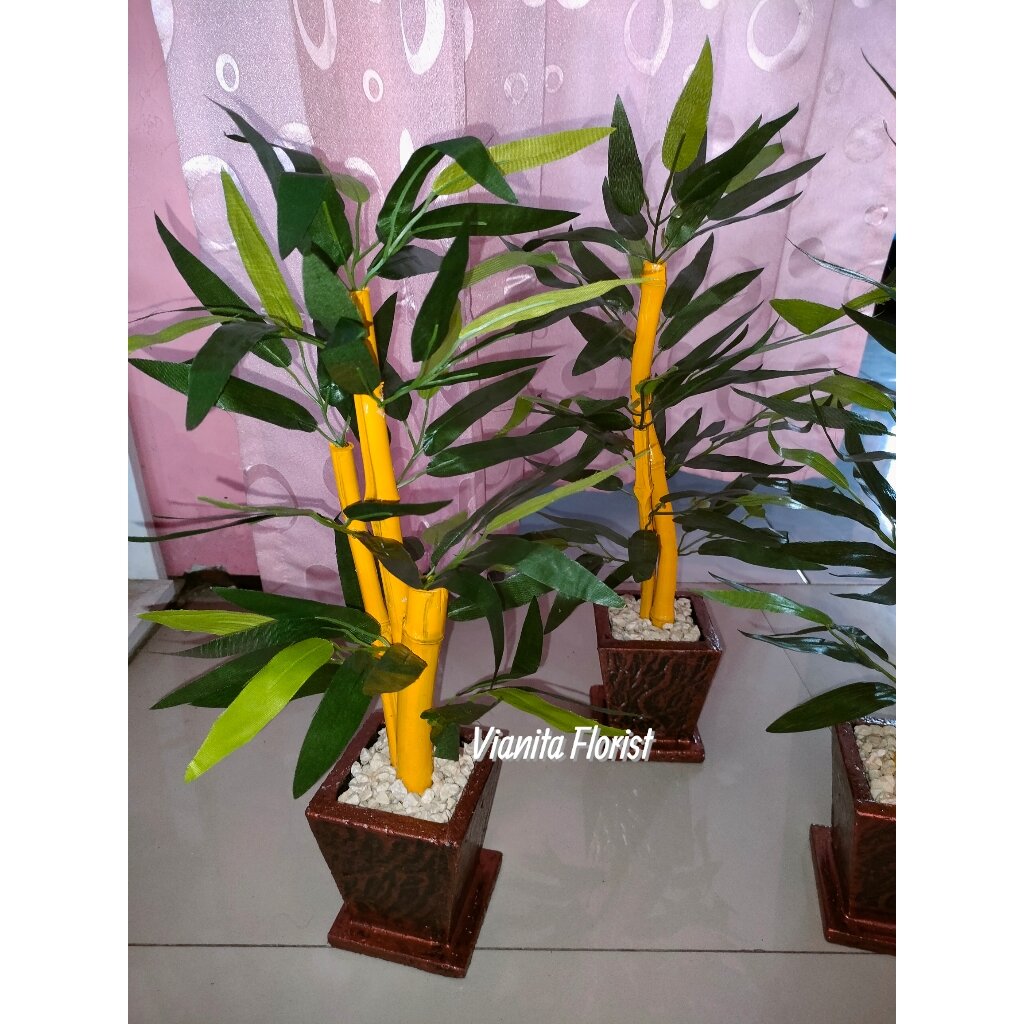 TANAMAN HIAS MEJA BAMBU KUNING SATU PAKET DENGAN VAS TINGGI 40 CM