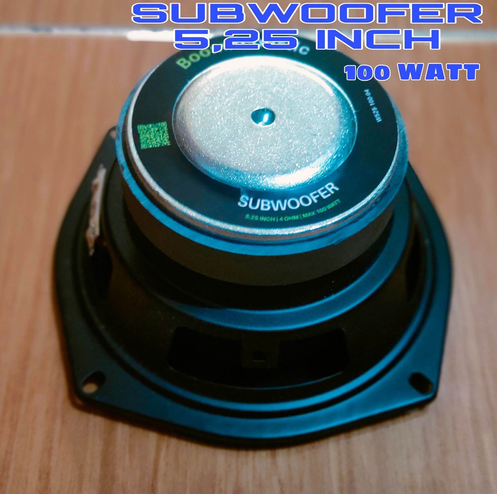 25 INCH 100 WATTS 4 OHM BASS 