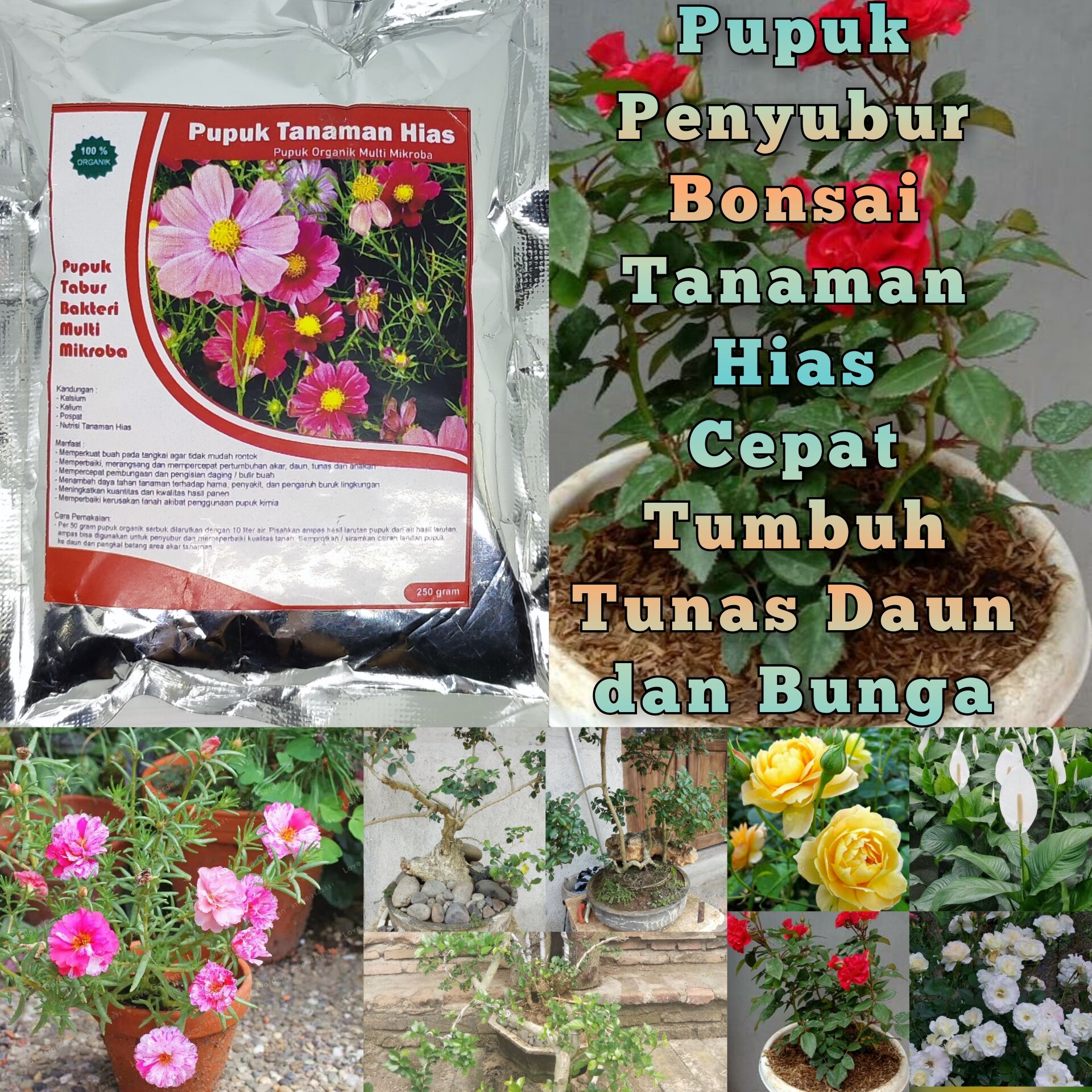 Pupuk Organik Bonsai dan Tanaman Hias,Cepat Berbunga Lebat dan Merangsang Pertumbuhan Tunas