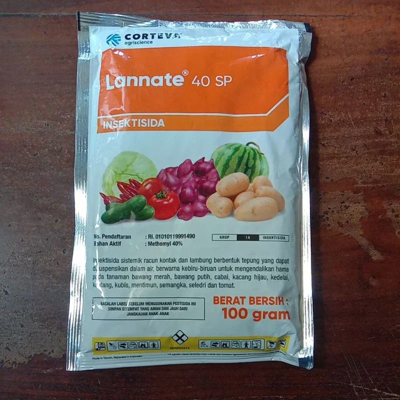 Lanet bir kokrak rus Lanet bir kokrak rus