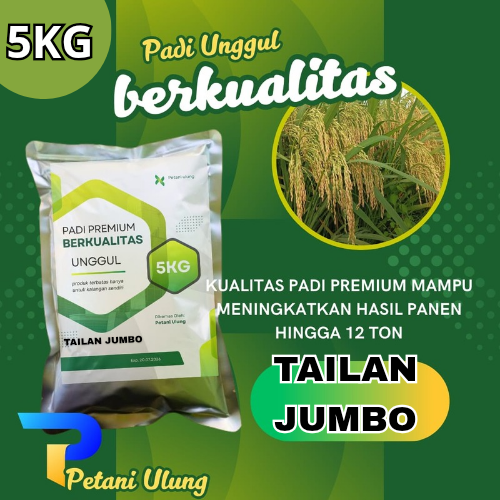 Tailan Jumbo Rice Seeds, Super Quality Rice Seeds, Superior Rice Seeds in 5kg Packaging Harga 115,000 rupiah*Gratis Ongkir