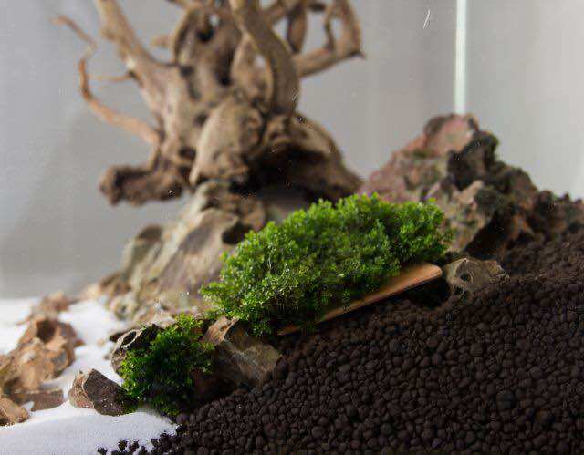 MASTER SOIL 8L / PLATINUM SOIL 8L AQUARIUM SUBSTRATE NATURAL POWDER SOIL AQUASCAPE FOR AQUATIC PLANTS