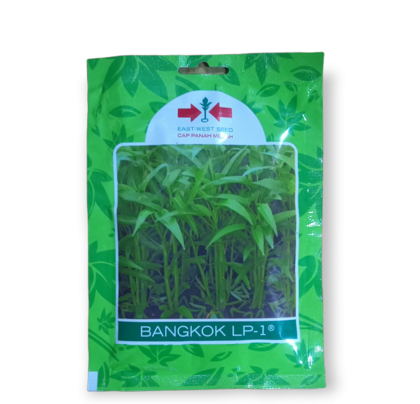 Kangkung Bangkok 1500 Benih Original Lazada Indonesia