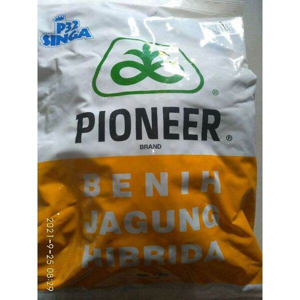 BENIH JAGUNG PIONER P32 SINGA 1 KG | Lazada Indonesia