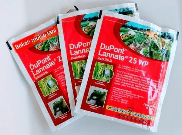 Tukli mushukli semiz ayollarning porno videolarini tomosha qiling