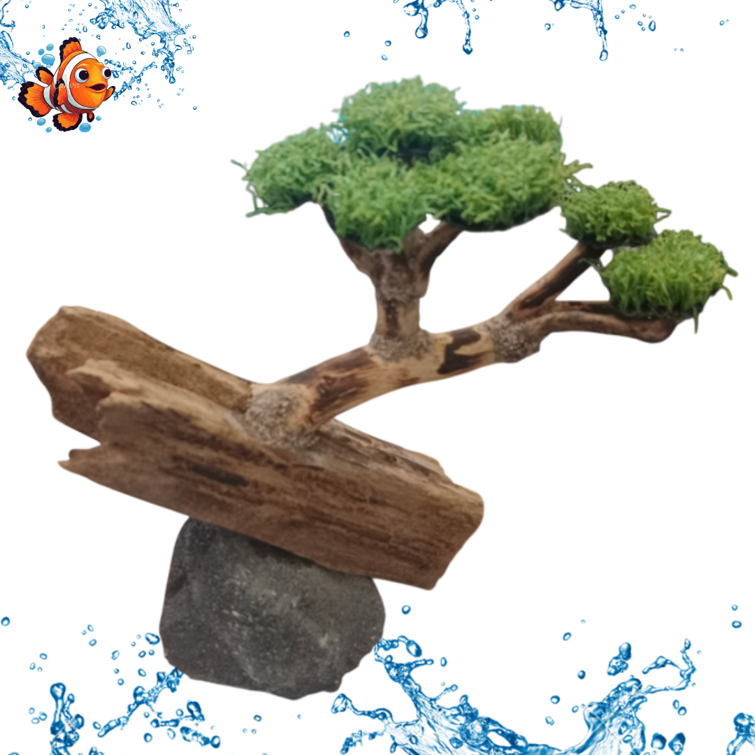 Hiasan Dekorasi Aquarium Aquascape POHON BONSAI TEBING MOSS