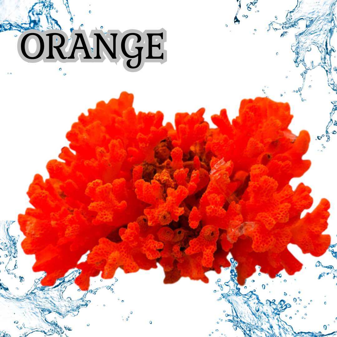 HIASAN AQUARIUM AQUASCAPE BATU TERUMBU KARANG LAUT WARNA