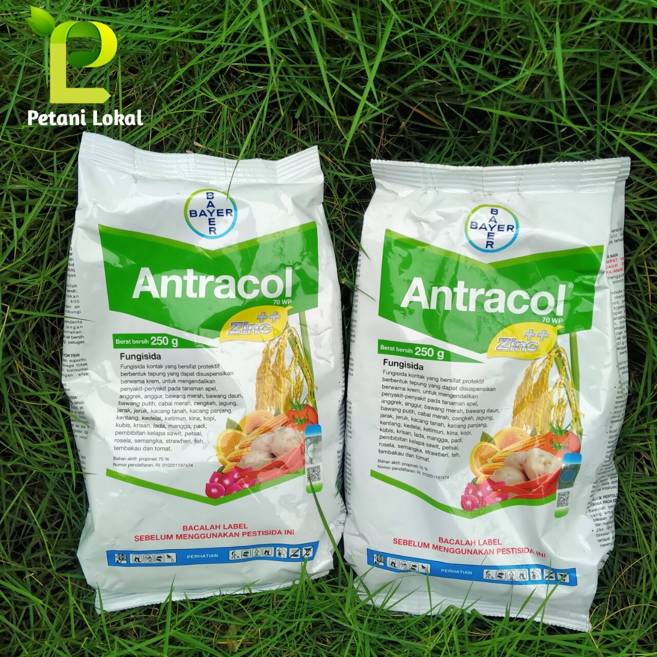 Fungisida Antracol 70 WP 250 gram | Lazada Indonesia