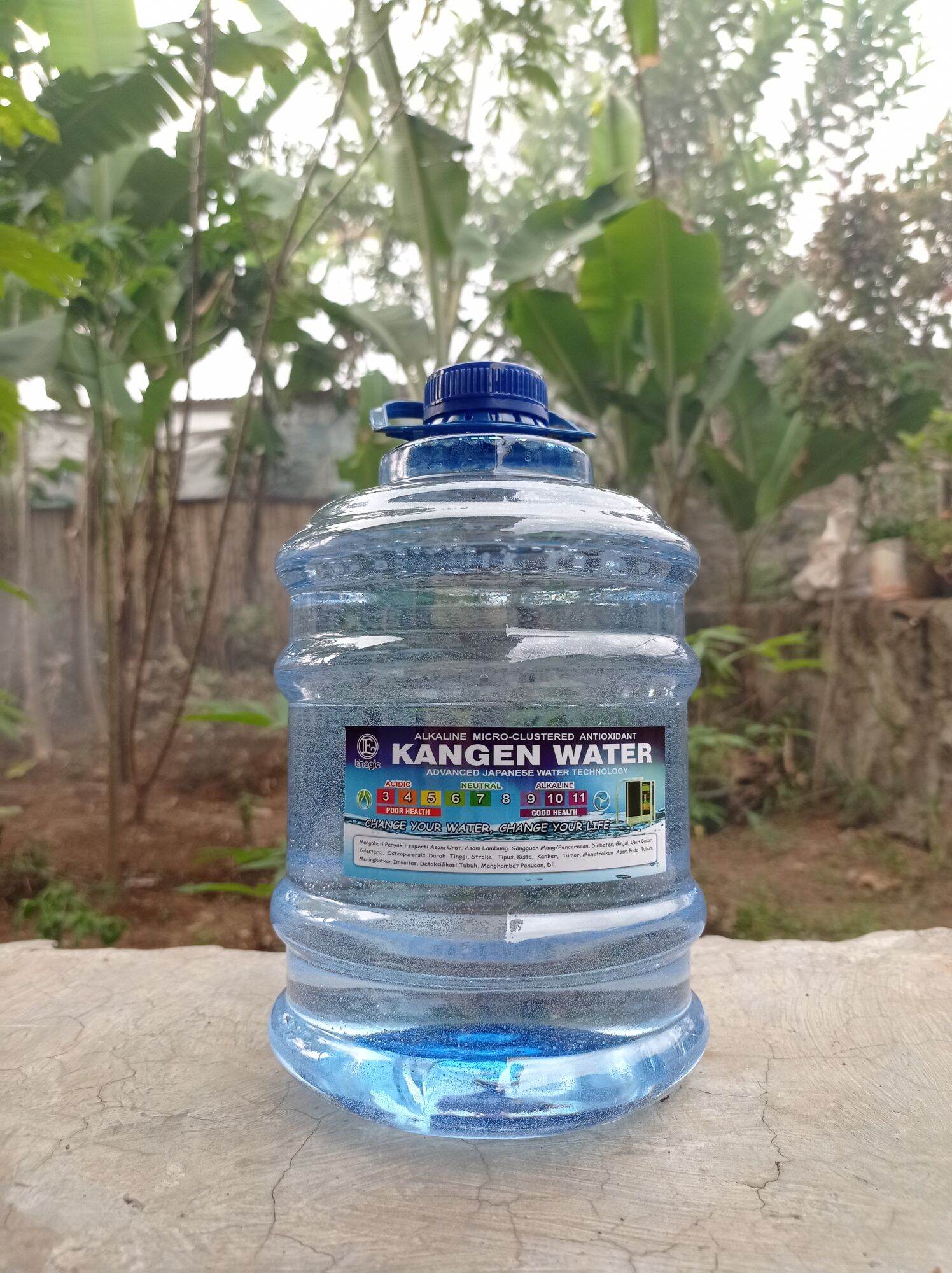 AIR ALKALI KANGEN WATER 2 LITER AIR BASA AIR KESEHATAN Lazada Indonesia