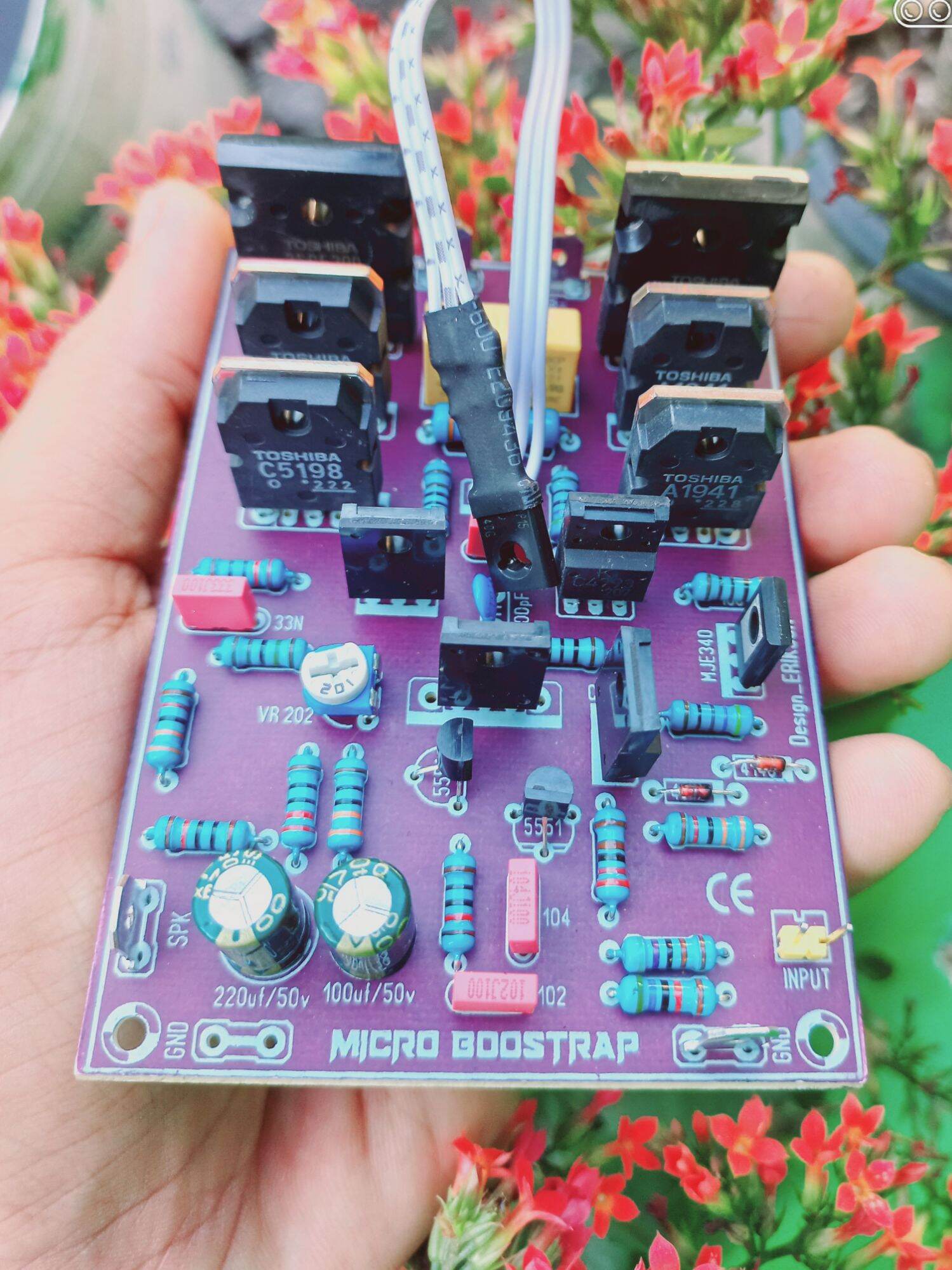 Micro Bostrap TEF | Lazada Indonesia