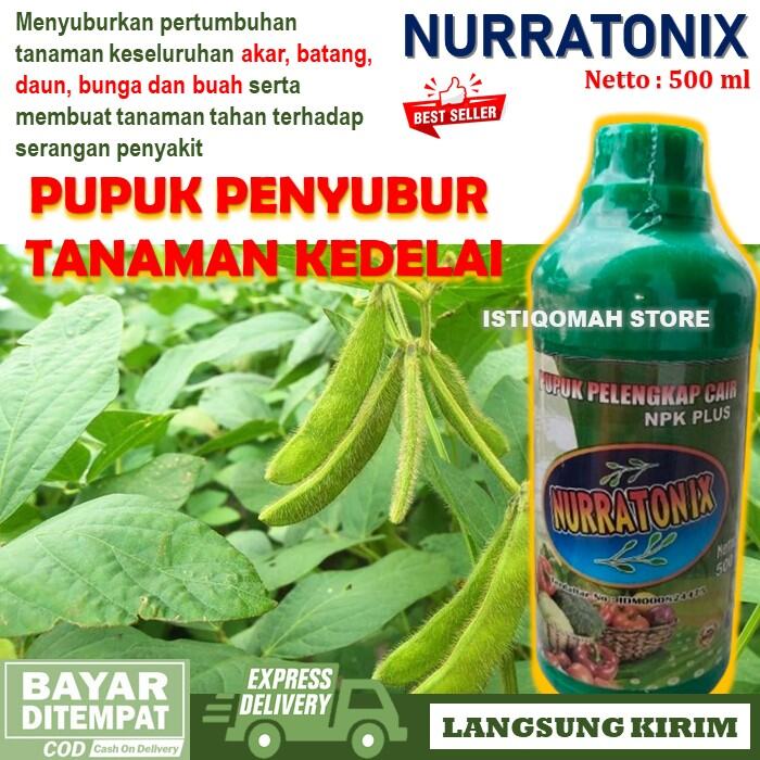 Pupuk Penyubur Akar dan Daun Tanaman Kedelai