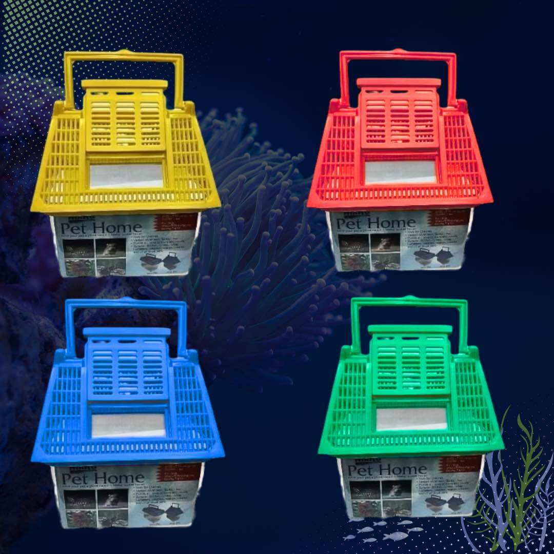 ARMADA / NIKITA / IKI PET HOME 01 Aquarium ikan kecil kura kura