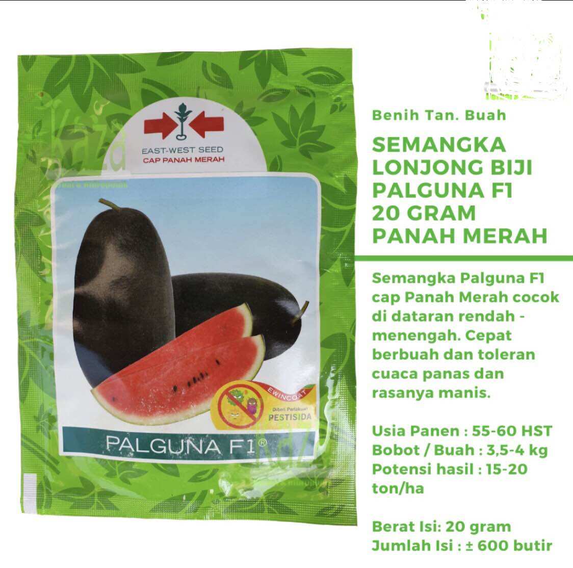 Bibit Benih Semangka Inul PALGUNA F1 (20 Gram) - Bibit Cap Panah Merah Harga  9,600,000 rupiah*Gratis Ongkir