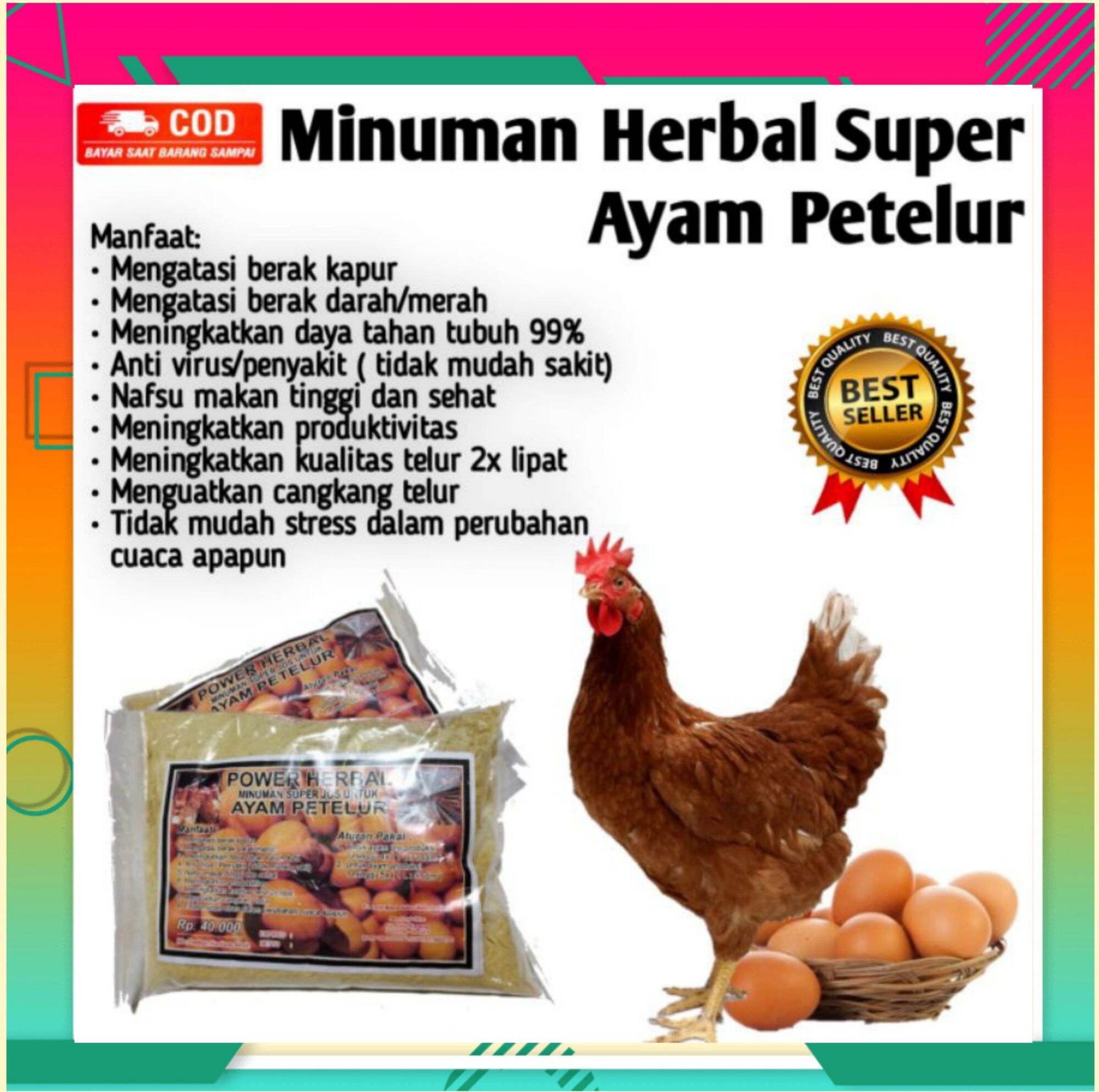 Vitamin Ayam Petelur Obat Ayam Petelur Suplemen Ayam Petelur Jamu Nyeor