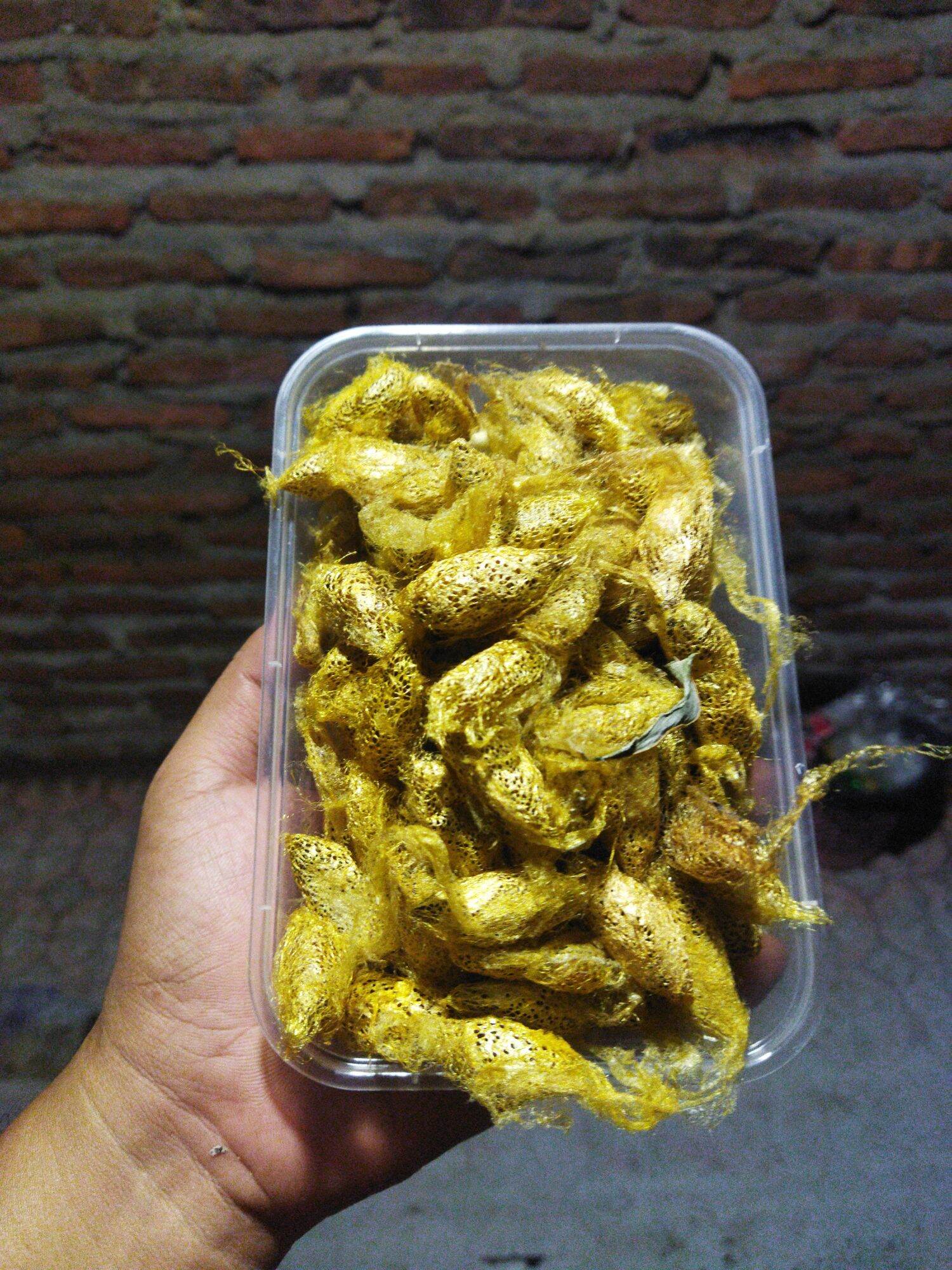 Pepek Karet Empuk - Jual Pepek Karet Empuk Terbaru Indonesia | Pempek  Palembang Asli | Pempek Kapal Selam | Pempek Lenjer | Pempek Dos | Pempek  Enak Lembut | www.lazada.co.id