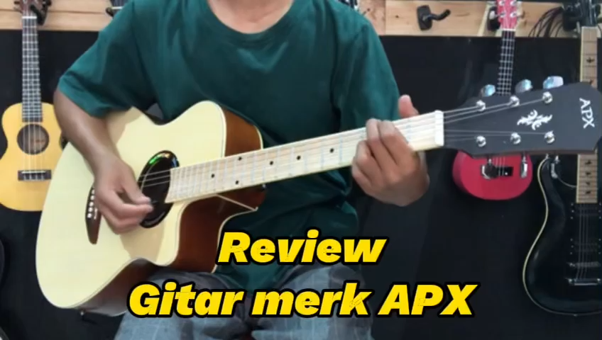 Gitar Akustik Elektrik model APX 500 FREE CUSTOM NAMA