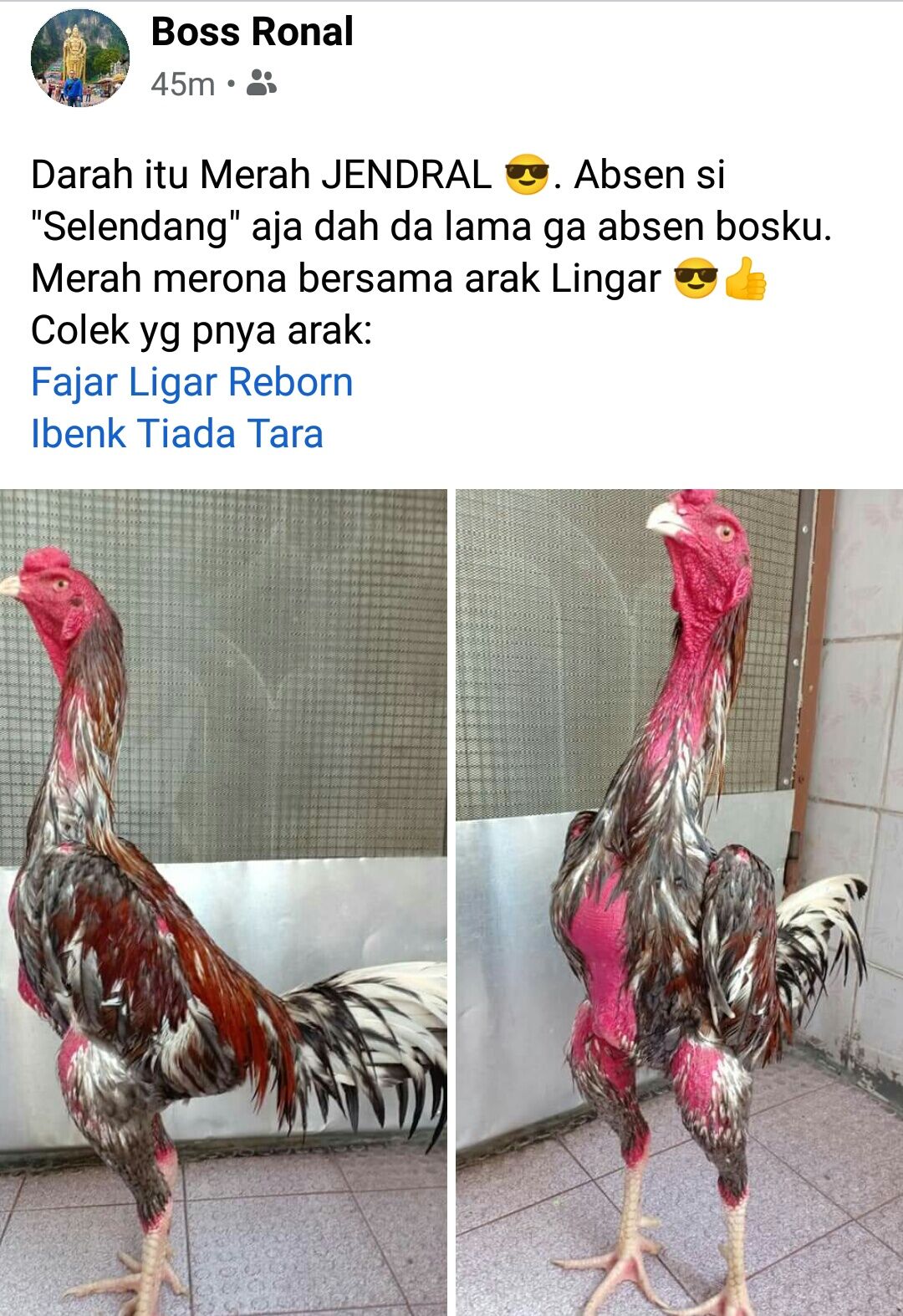 Porno multfilmlar taram pararam Sinn Sage biografiyasi