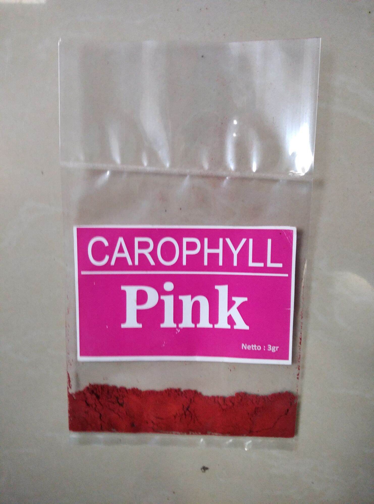 carophyll pink