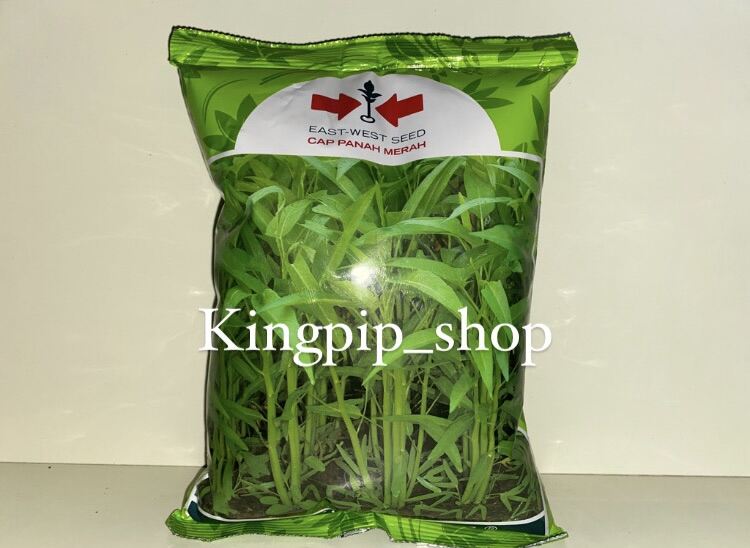 Benih Kangkung Bangkok Lp 1 1kg Lazada Indonesia