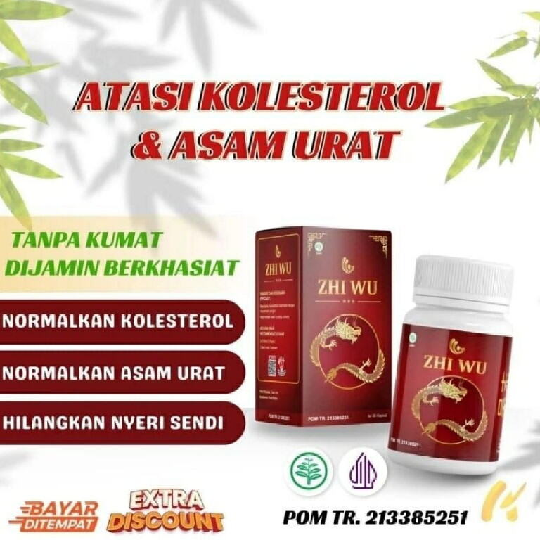 BEST PROMO ZHI WHU ORIGINAL Obat Asam Urat, ZHIWU obat Reumatik dan ...