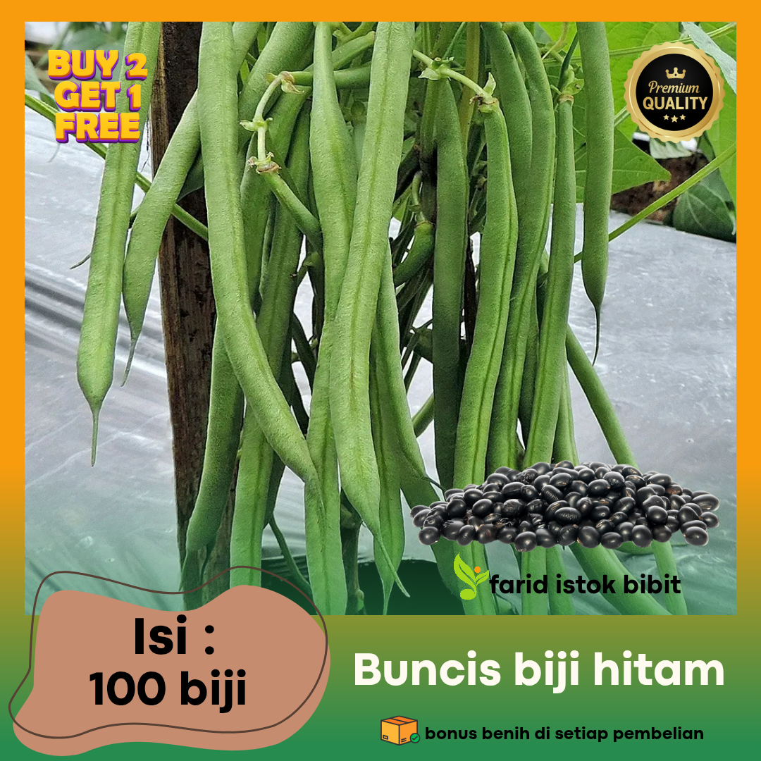 YouTubeda kunnilingusni qanday berish kerak