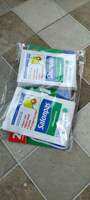 salonpas pereda nyeri 1 pack 20sacet merah dan putih