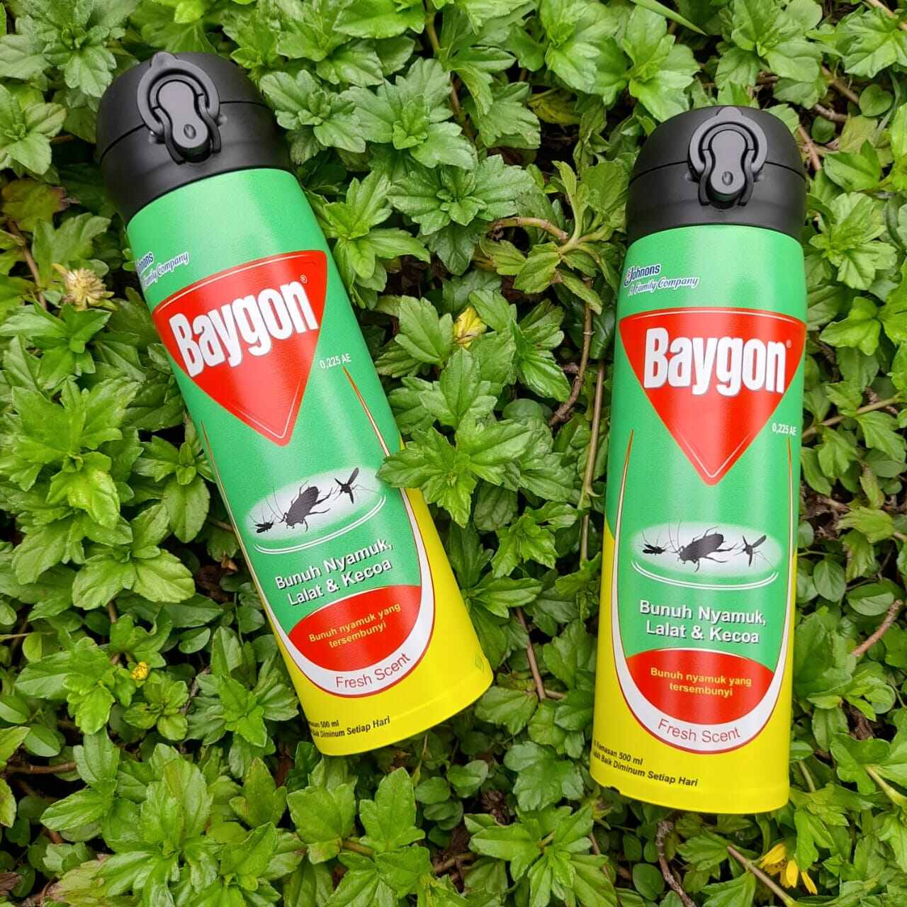Termos Premium Tumbler Gambar Baygon 500 ML Custom Bisa Request