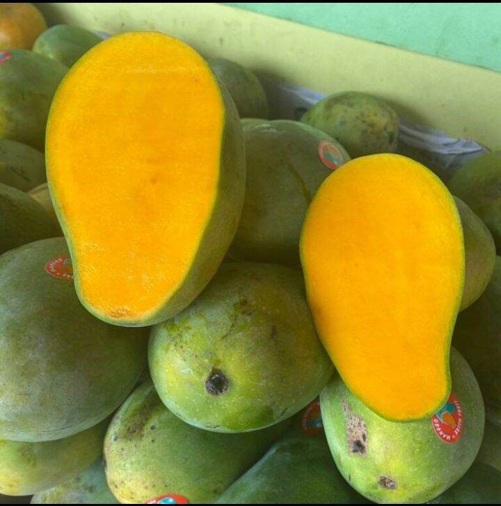 Mangga Harum Manis Fresh 1 Kg Lazada Indonesia