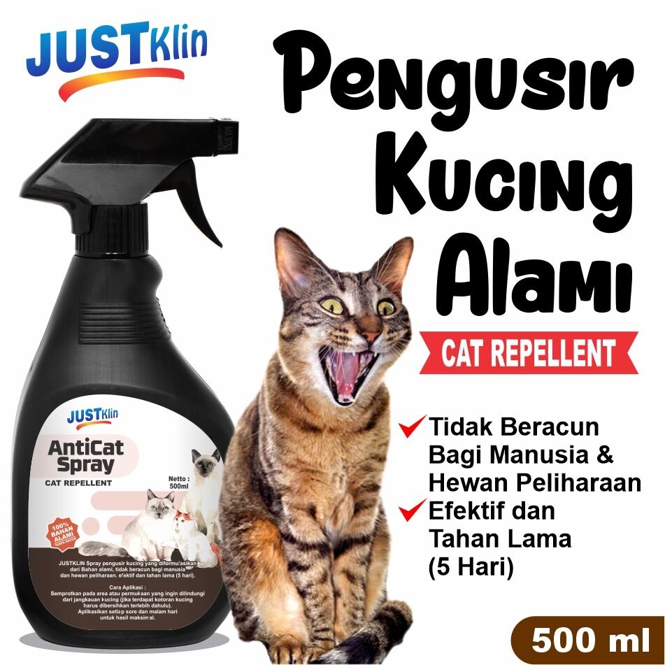 Erini dugonasi bilan aldagan xotini porno video Yalangoch fohishalar fotosuratlari